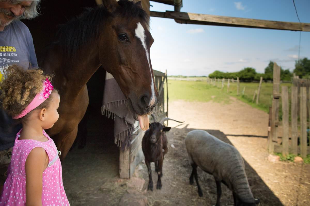 Uckermark Urlaub – FeWo am Froschteich mit Streicheltieren
